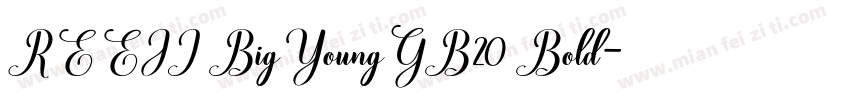 REEJI BigYoungGB20 Bold字体转换